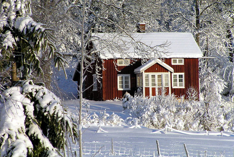 red house surrounded by snow covered trees